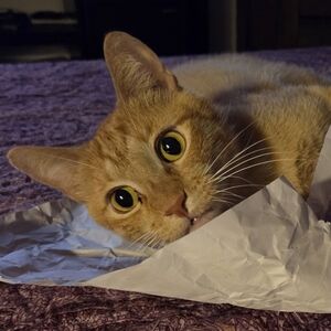 1/11/26 LIVE SHOW🤗 + GIVEAWAYS 🎁. Please Join & enjoy the show 🥰😍